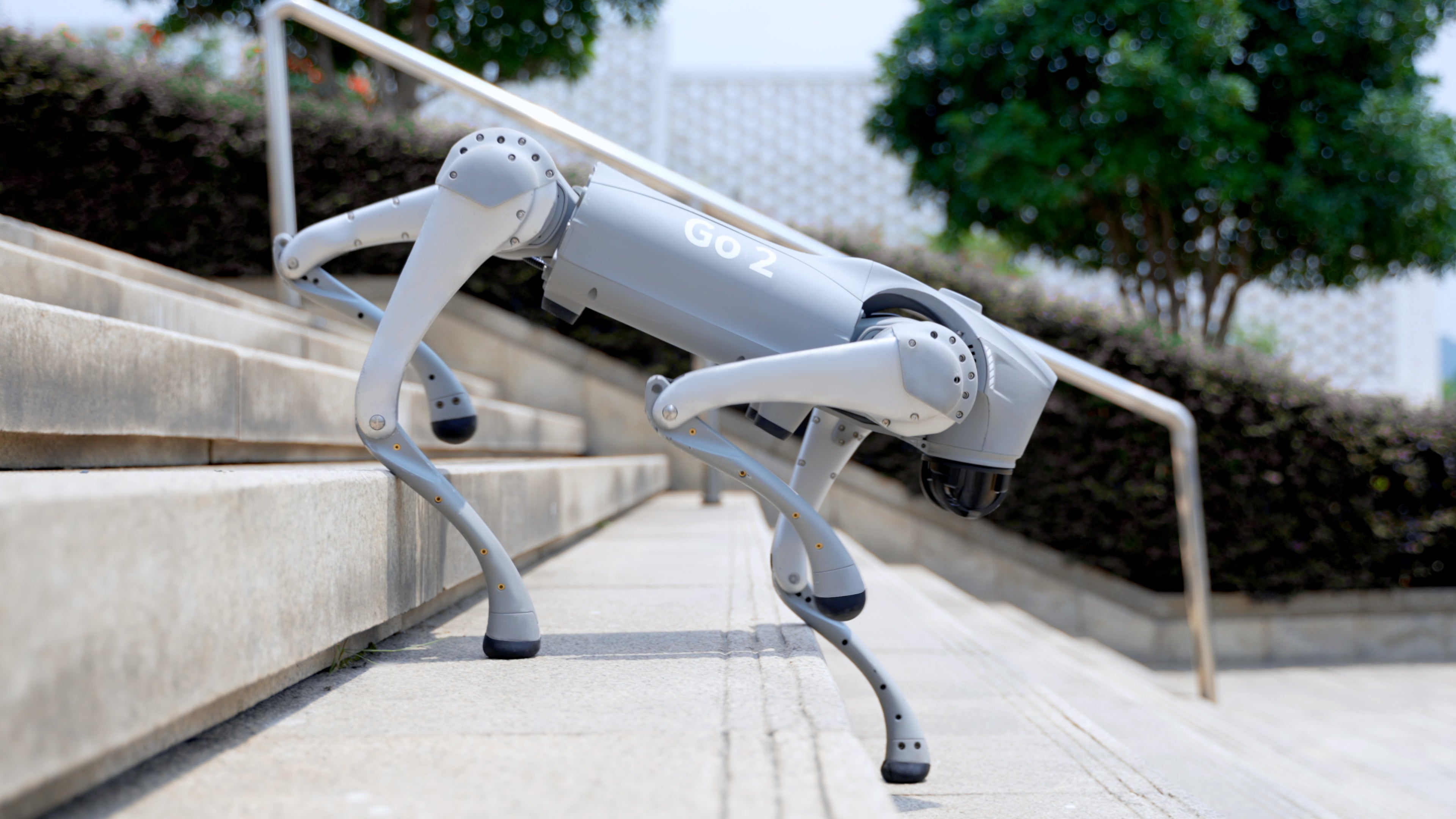 Robot Dogs