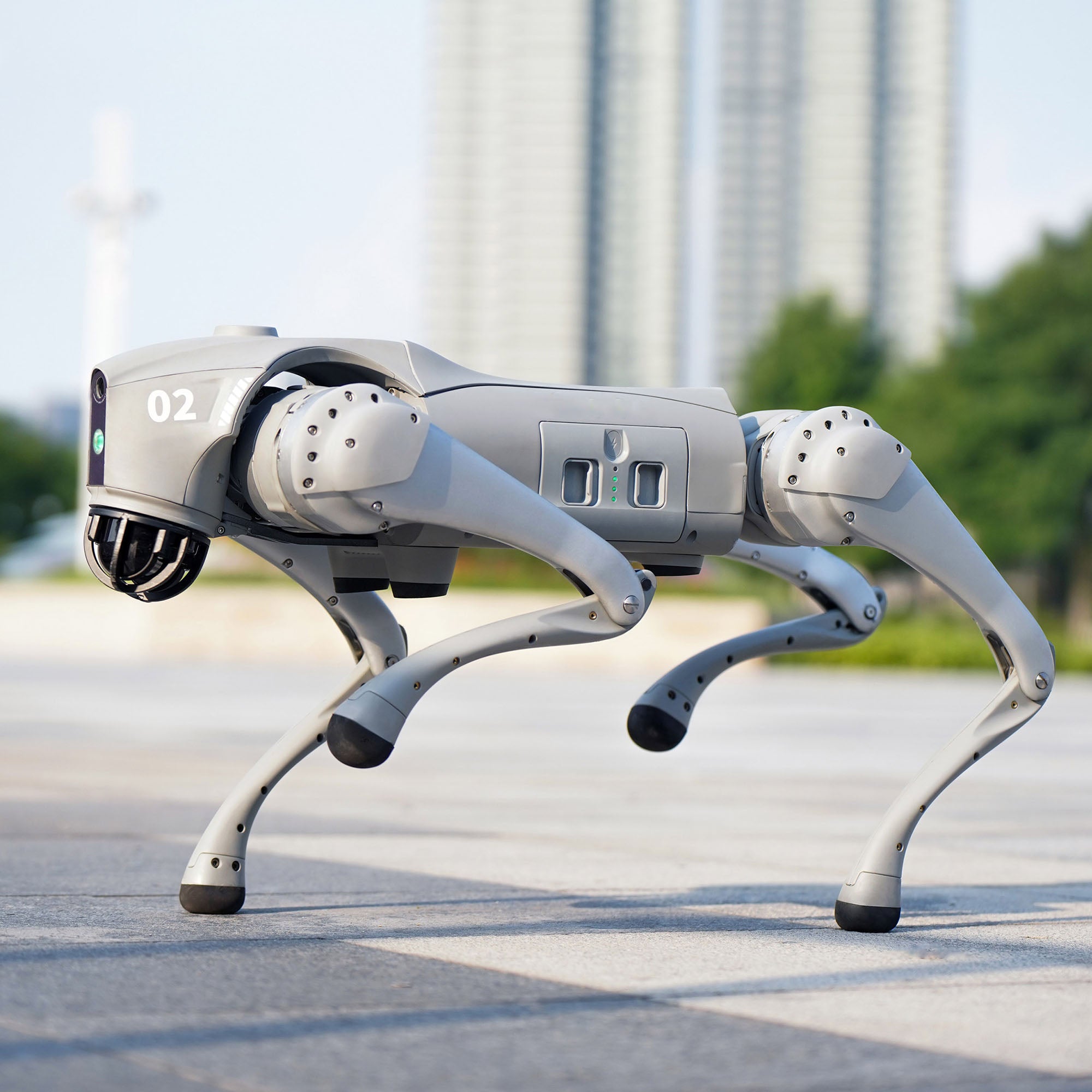 Golabs Go2 Pro Quadruped Robot Dog