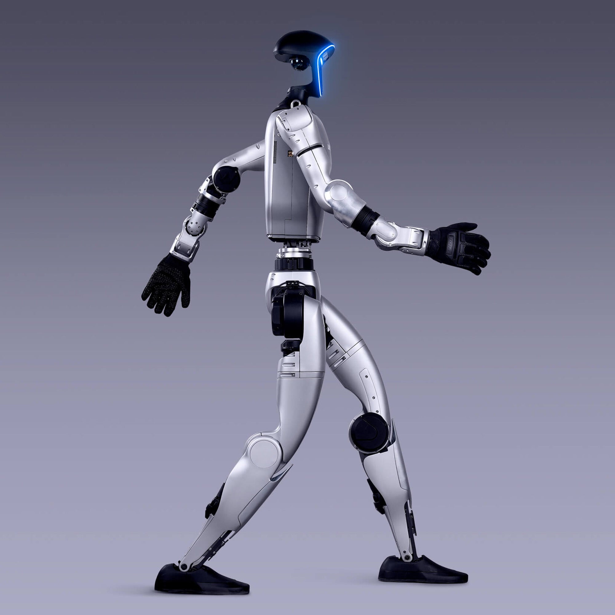 Golabs G1 Humanoid Robot