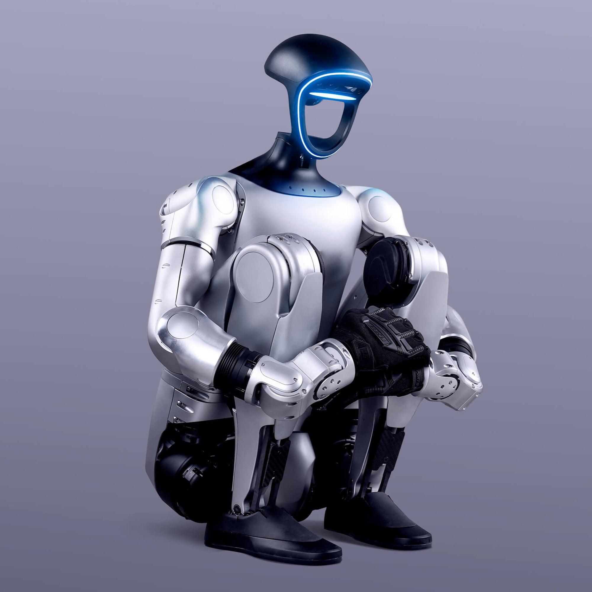 Golabs G1 Humanoid Robot