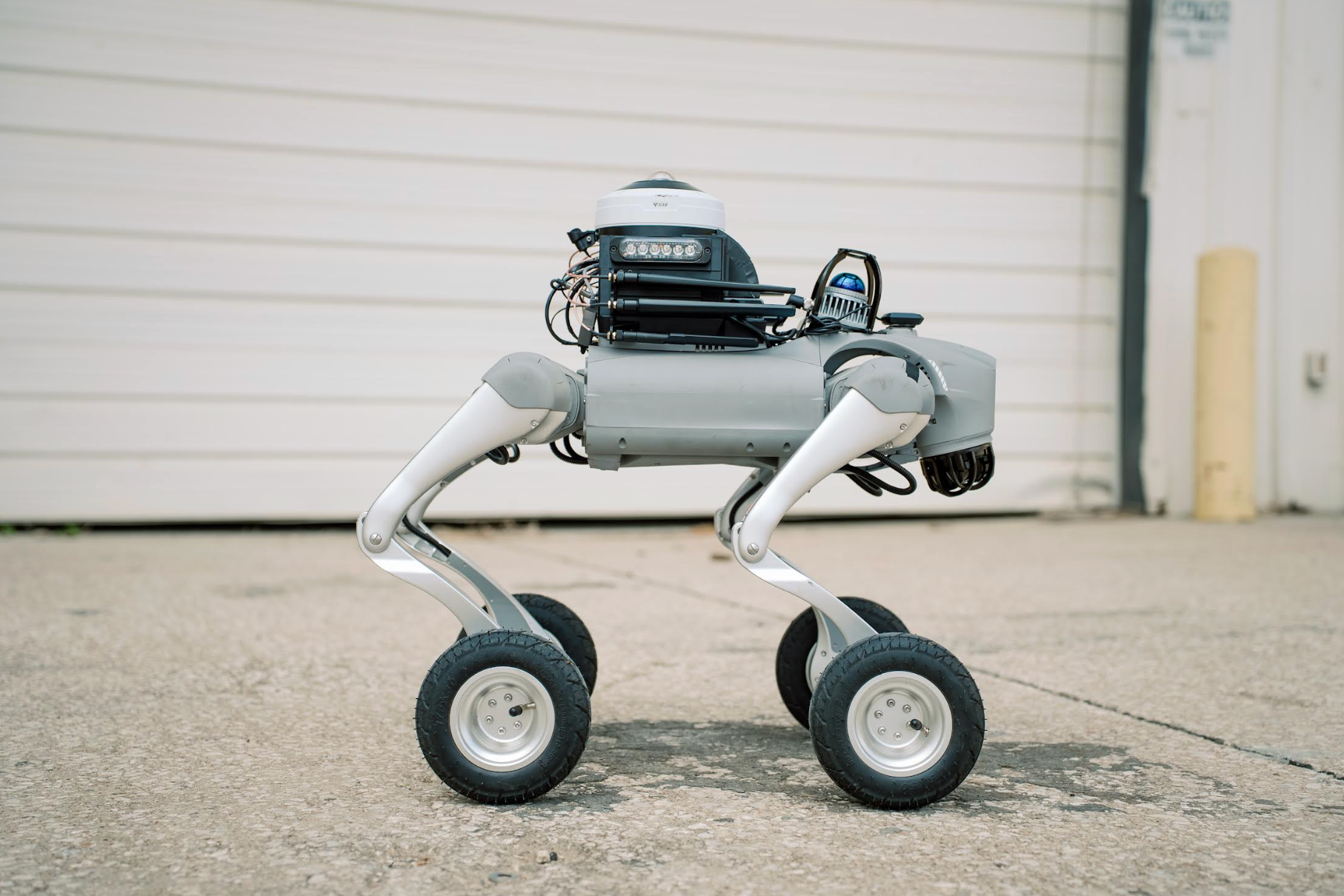 Companies Are Hiring Robotic Dogs as Security Guards. Here’s Why: