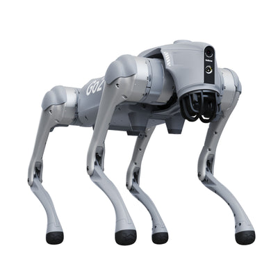 Golabs Go2 Pro Quadruped Robot Dog