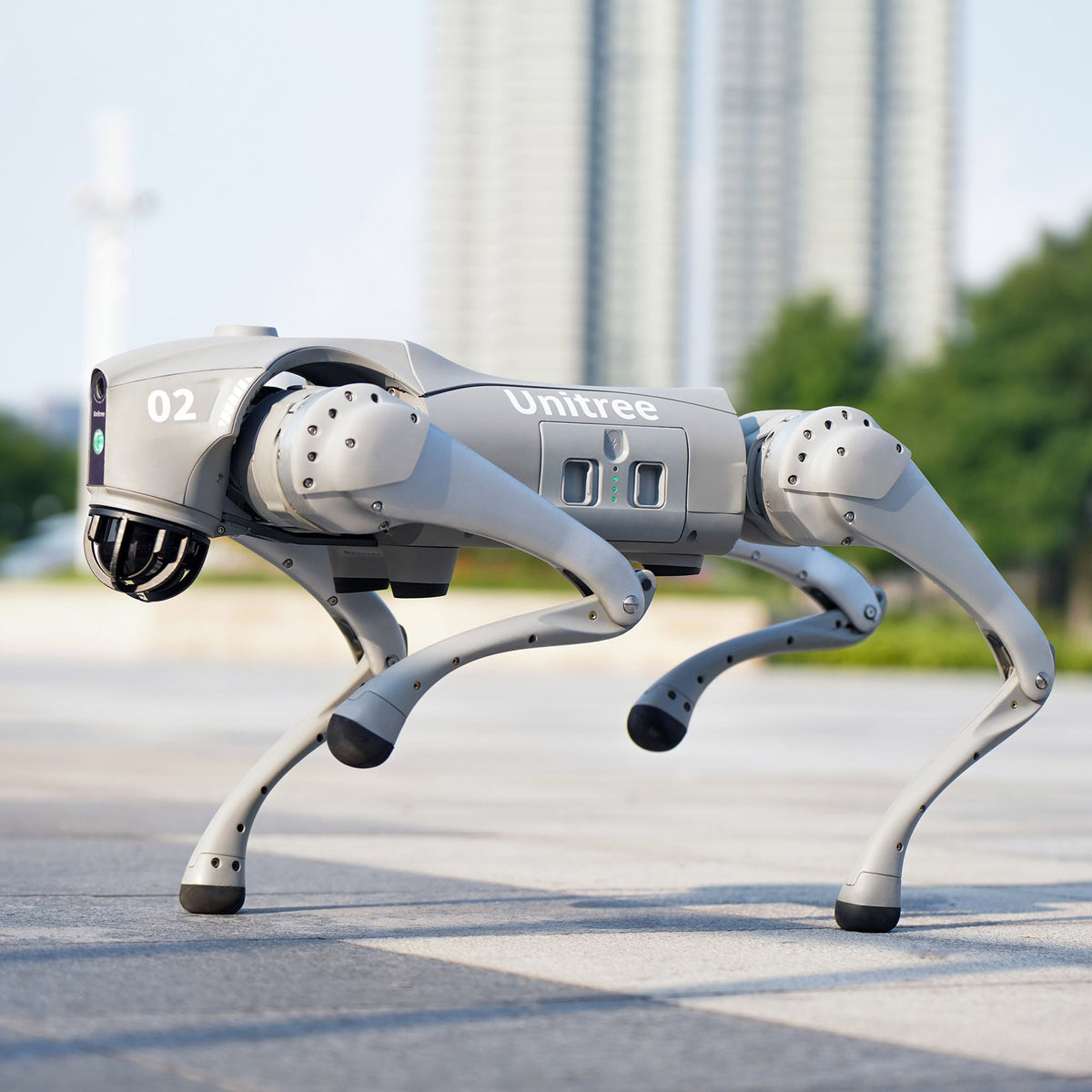 Unitree Go2 EDU+ NVIDIA ORIN 100 TOPS AI Quadruped Robot Dog – Golabs Inc.