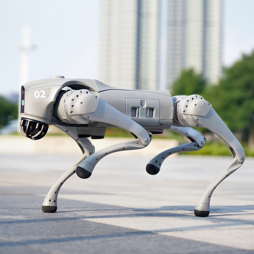 Golabs Go2 Quadruped Robot Dog