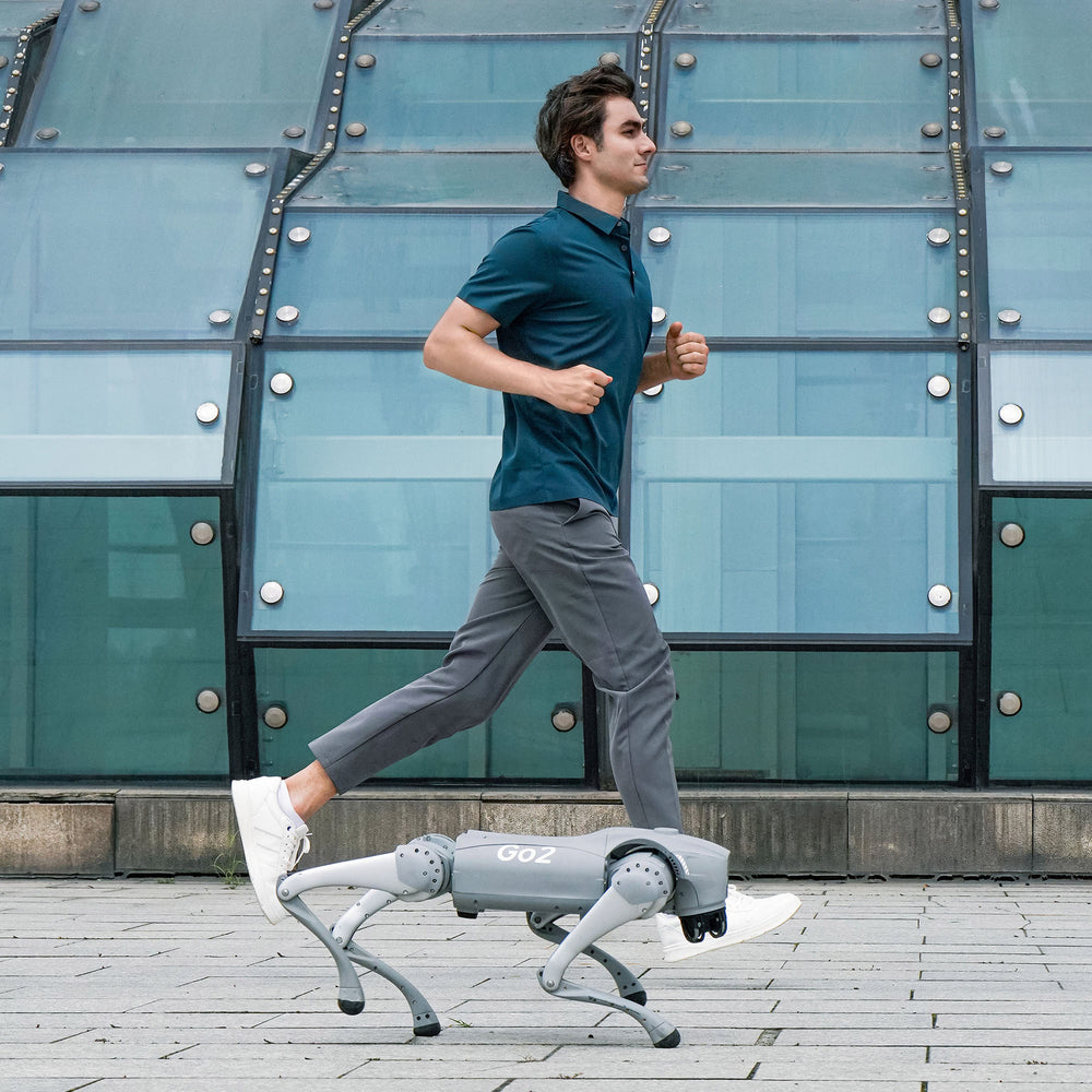 Unitree Go2 EDU+ NVIDIA ORIN 100 TOPS AI Quadruped Robot Dog – Golabs Inc.
