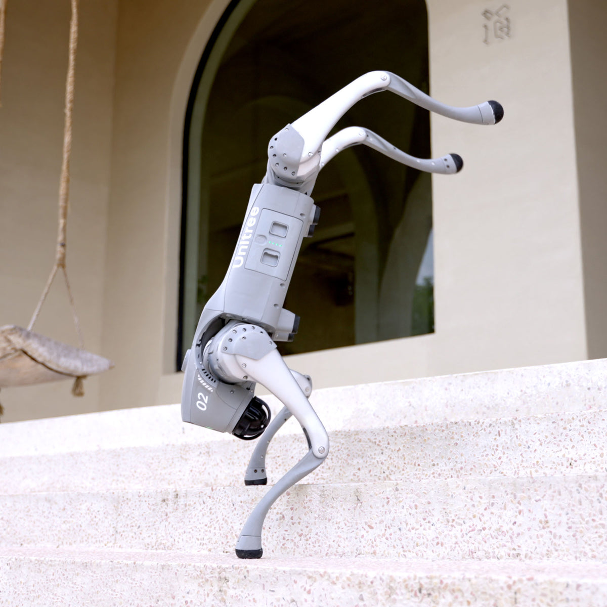 Unitree Go2 EDU+ NVIDIA ORIN 100 TOPS AI Quadruped Robot Dog – Golabs Inc.