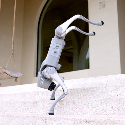 Golabs Go2 Pro Quadruped Robot Dog