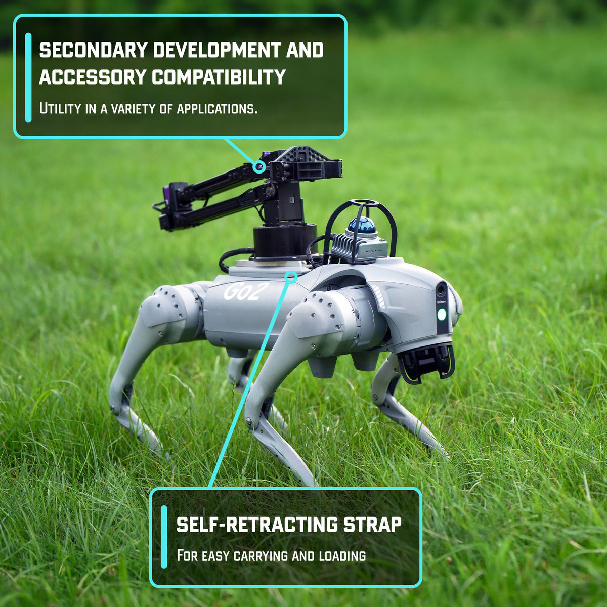Unitree Go2 EDU+ NVIDIA ORIN 100 TOPS AI Quadruped Robot Dog – Golabs Inc.