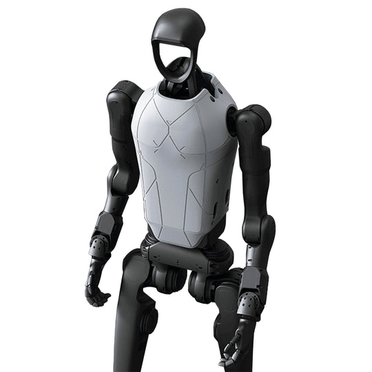 Golabs H1 Humanoid Robot